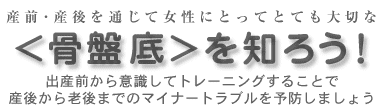 骨盤底を知ろう!