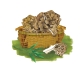 maitake.tif