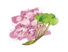 img149元.tif